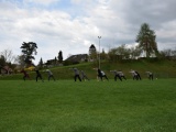 Tn Bild (120)